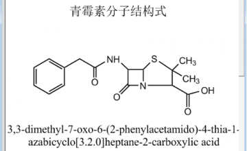 “奇迹之药”——青霉素